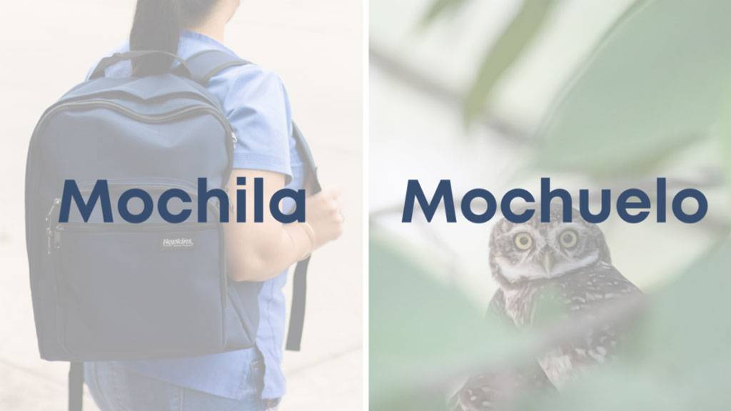 Mochila y mochuelo