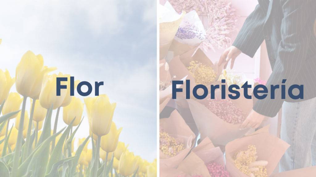 Flor-y-floristeria Flor y floristería