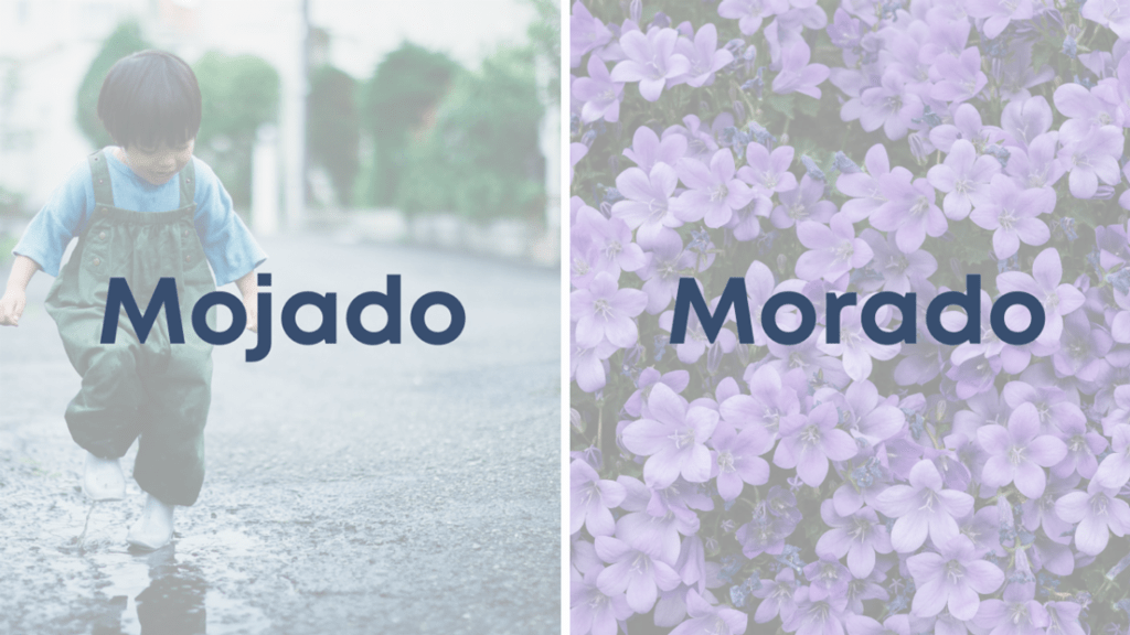 mojado-y-morado mojado-y-morado