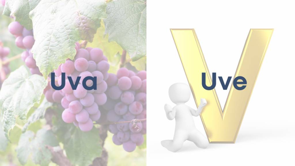 uva-y-uve