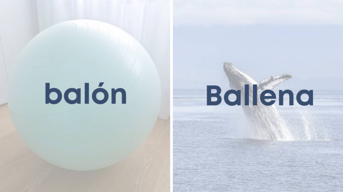 balon-y-ballena