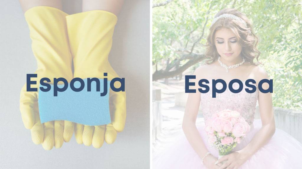 esponja-y-esposa