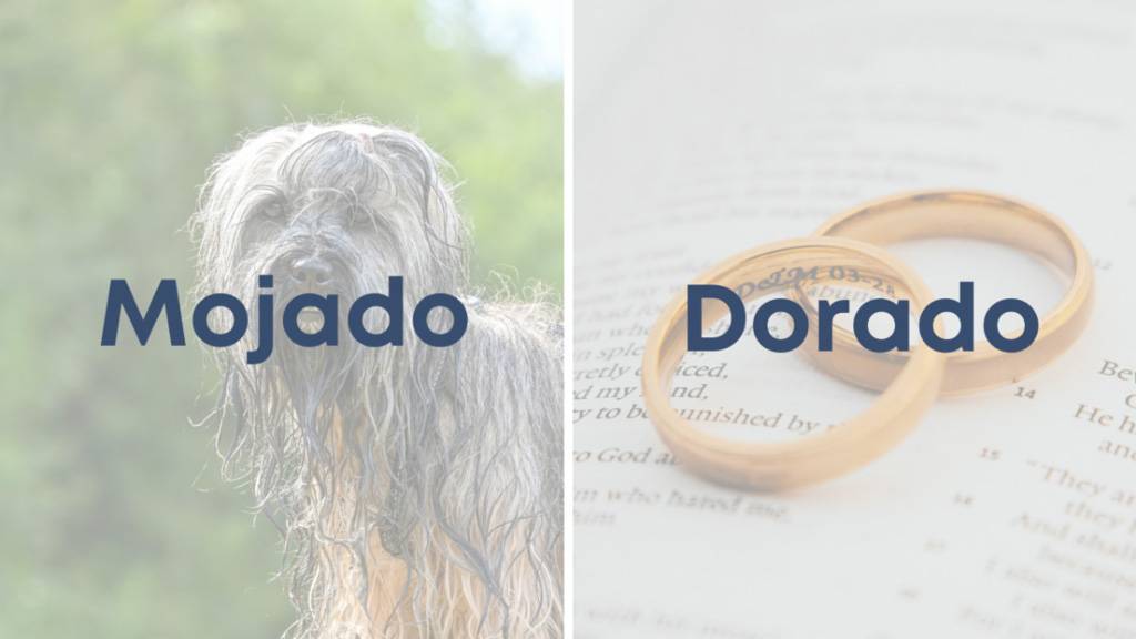 mojado-y-dorado
