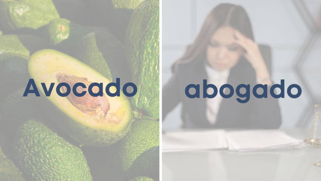 avocado-y-abogado