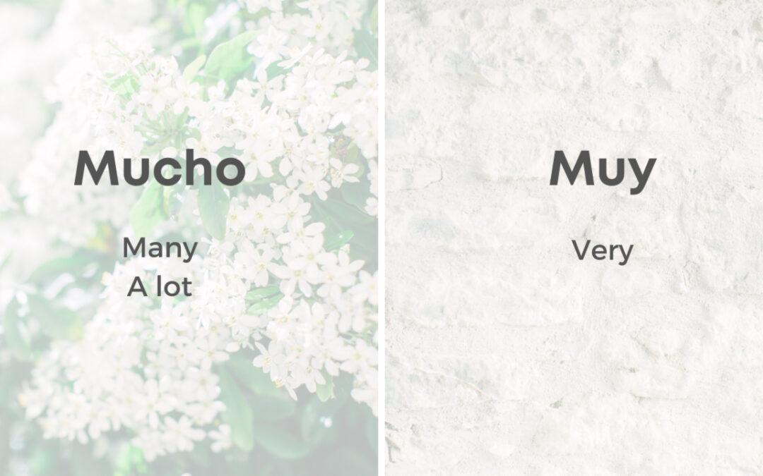 Commonly Confused Words in Spanish Week 4