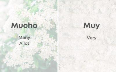 Commonly Confused Words in Spanish Week 4