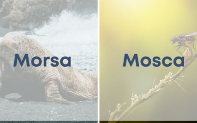 Weekly Word Challenge