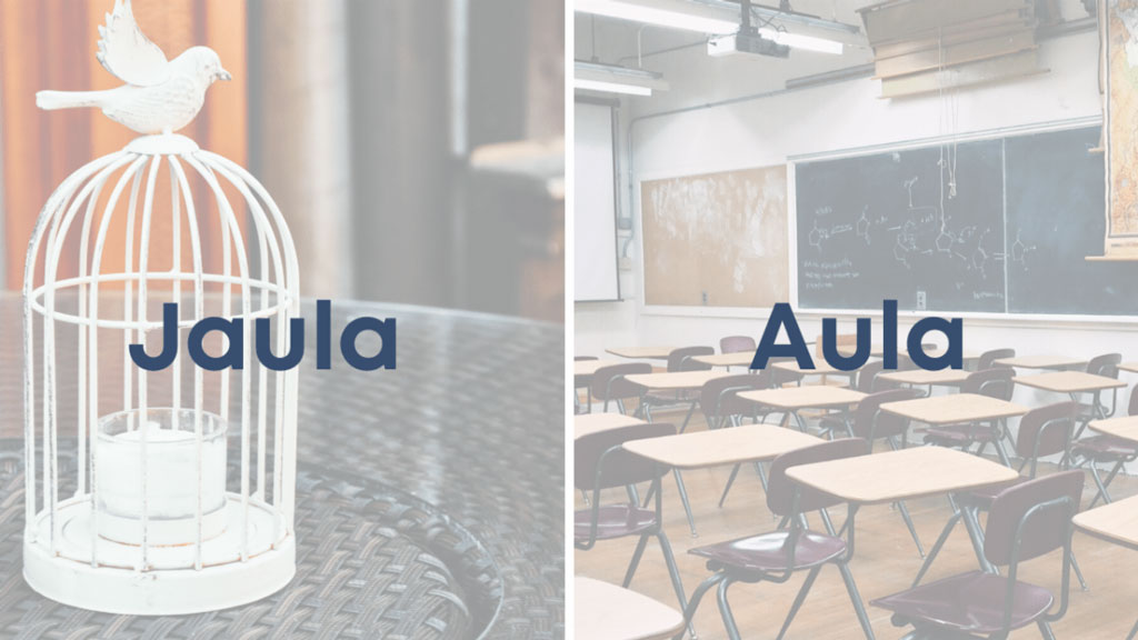 Jaula y aula