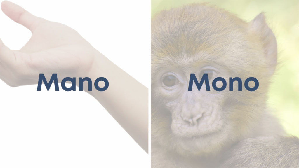 Mano y mono