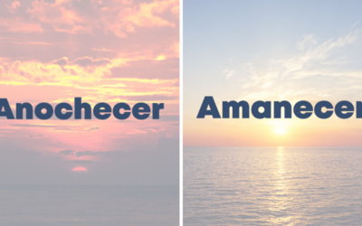 Weekly Word Challenge