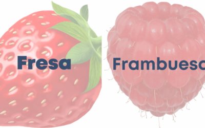 Weekly Word Challenge