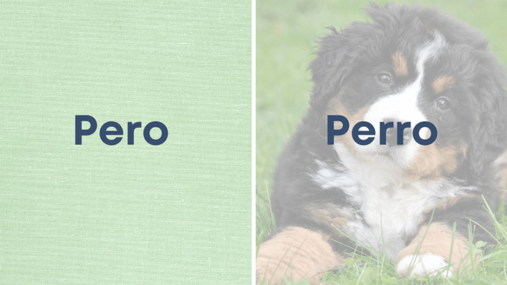 pero y perro