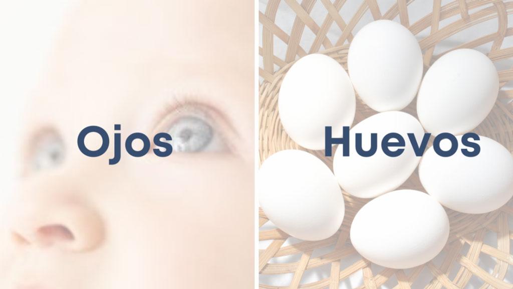 Ojos y Huevos