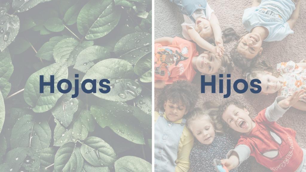 Hojas Y Hijos