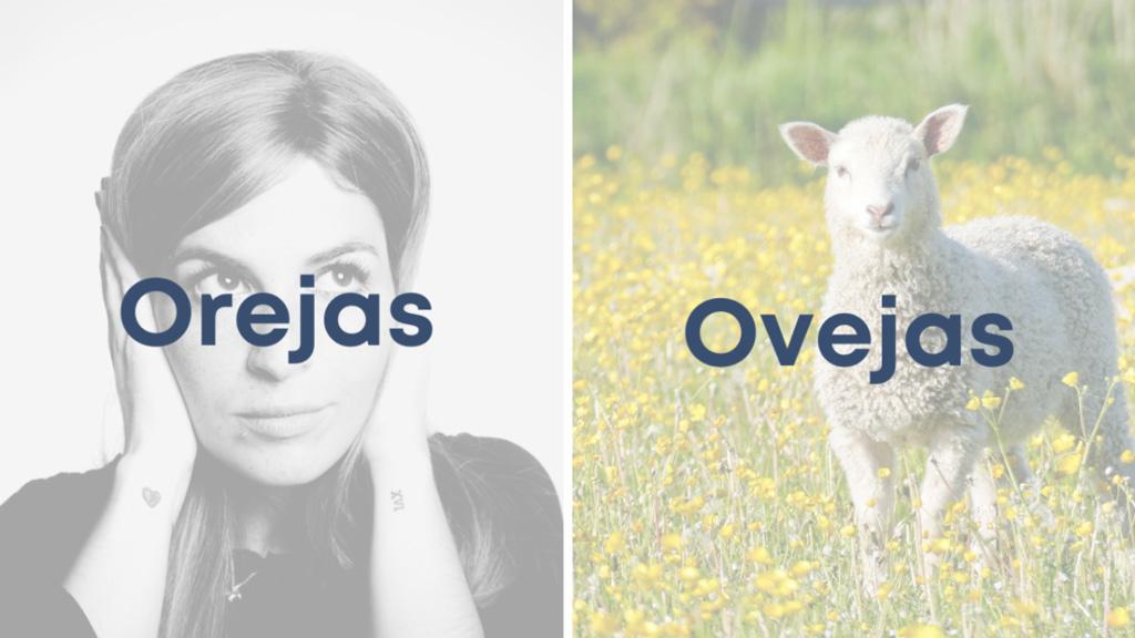 Orejas Y Ovejas