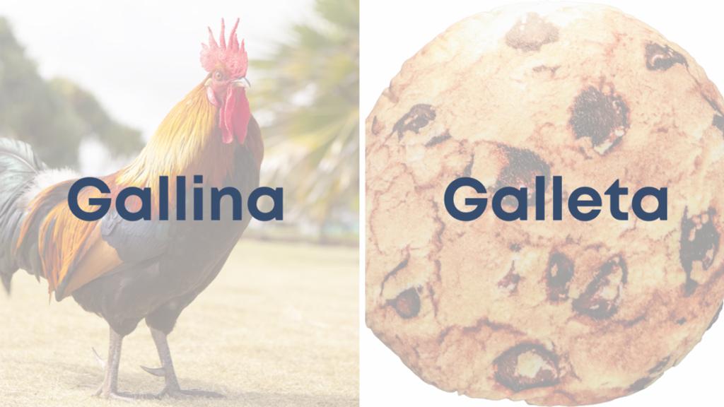 Gallina Y Galleta