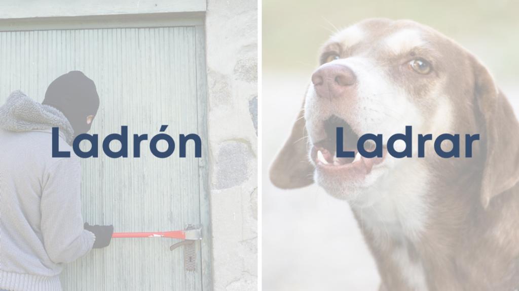 Ladrón Y Ladrar