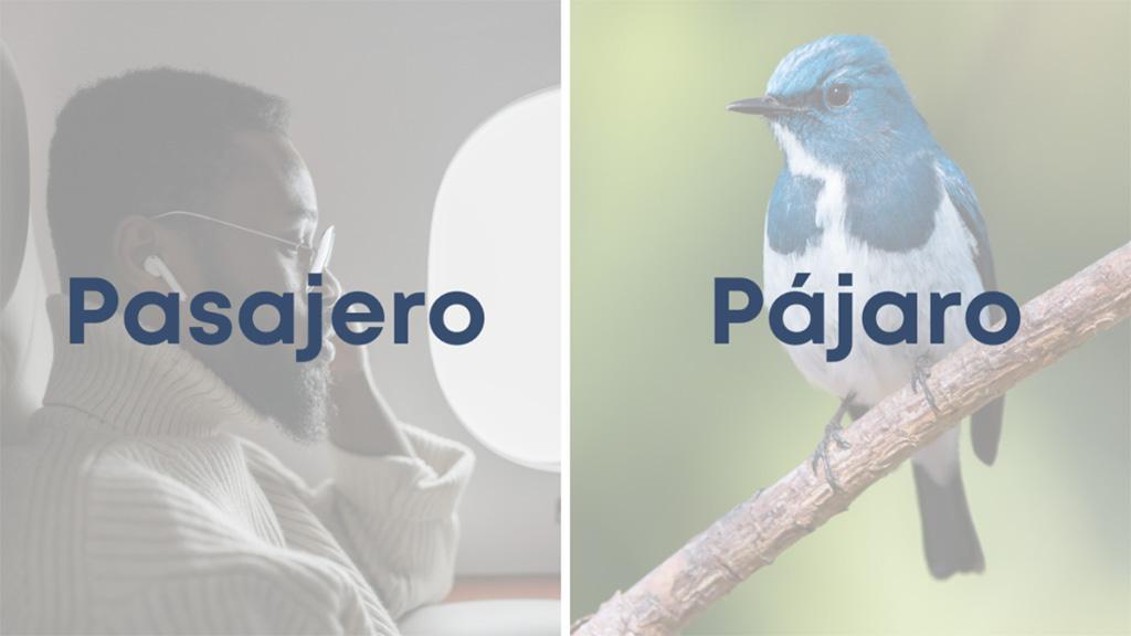 Pasajero y Pajaro