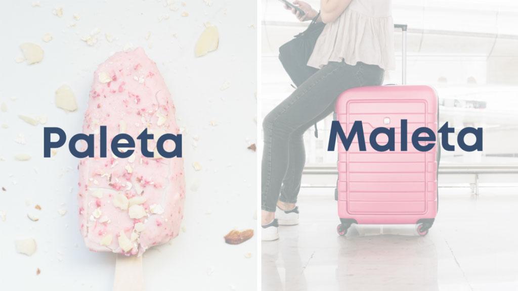 Paleta Y Maleta