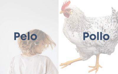 Weekly Word Challenge – Pelo Y Pollo