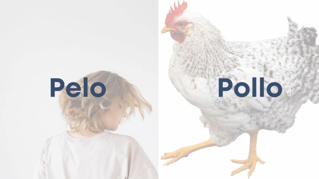Pelo y Pollo