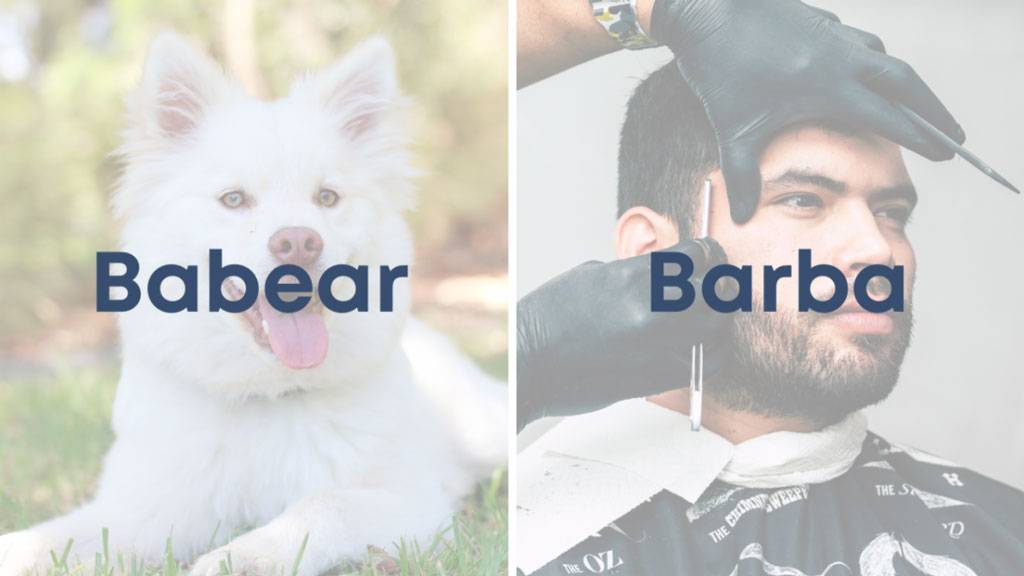 Babear Y Barba