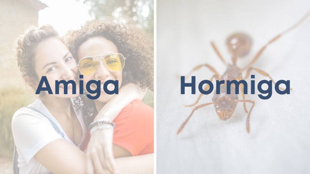 Amiga-Y-Hormiga Higado y higo