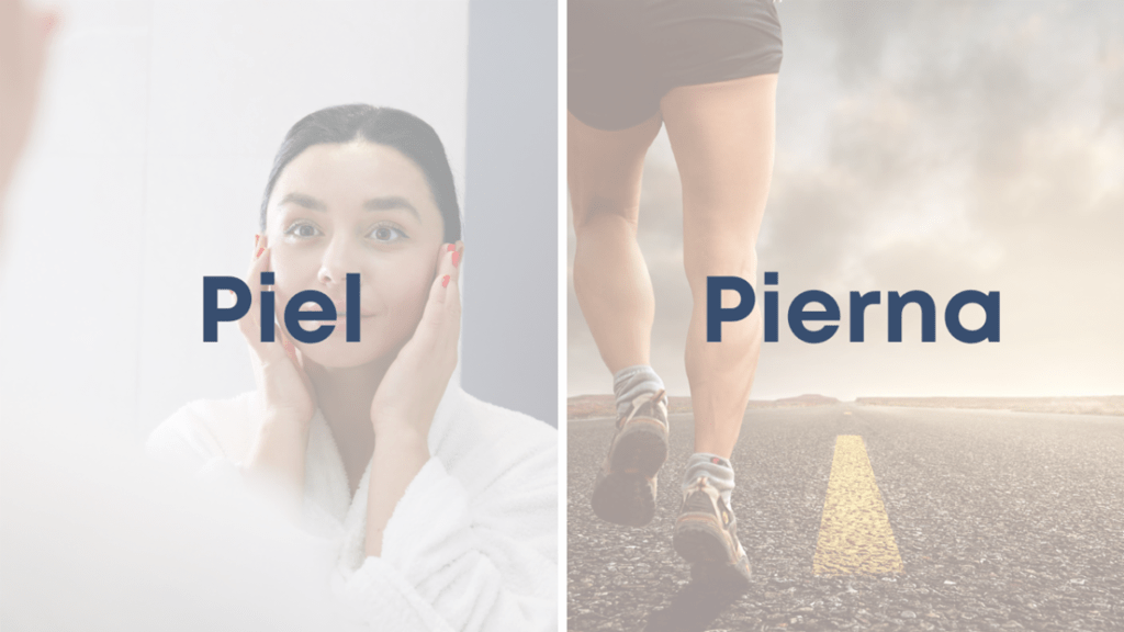 Piel Y Pierna