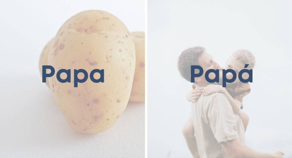 papa Papa
