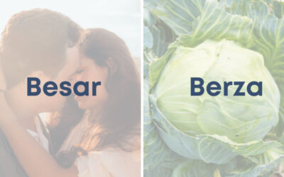 Weekly Word Challenge – Besar y berza