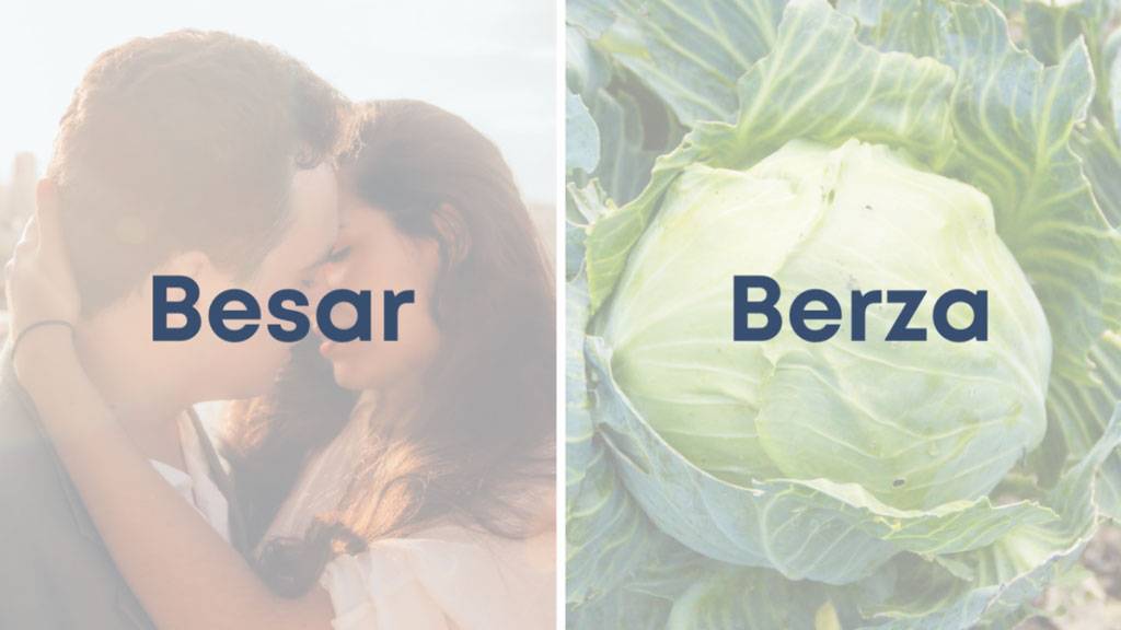 Besar-y-berza Besar y berza