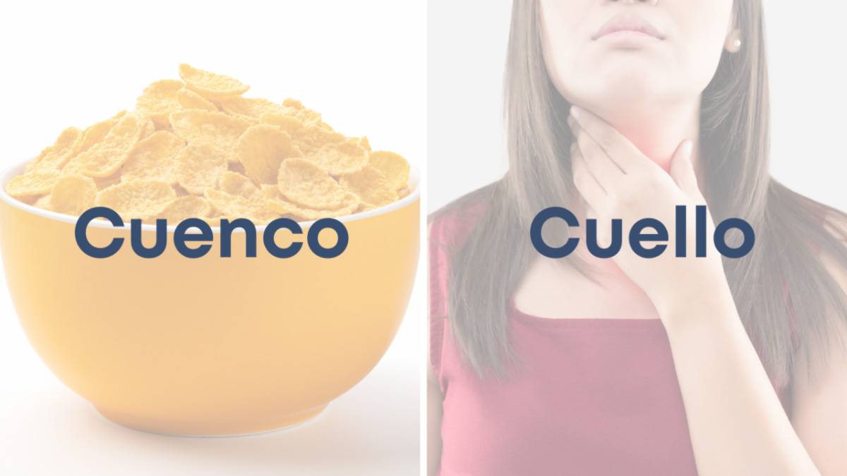 Cuenco-y-cuello Cuenco-y-cuello