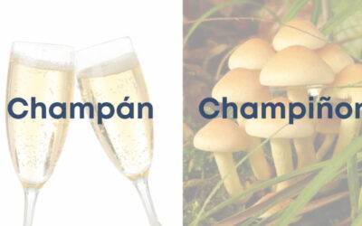 Weekly Word Challenge – Champan Y Champinon