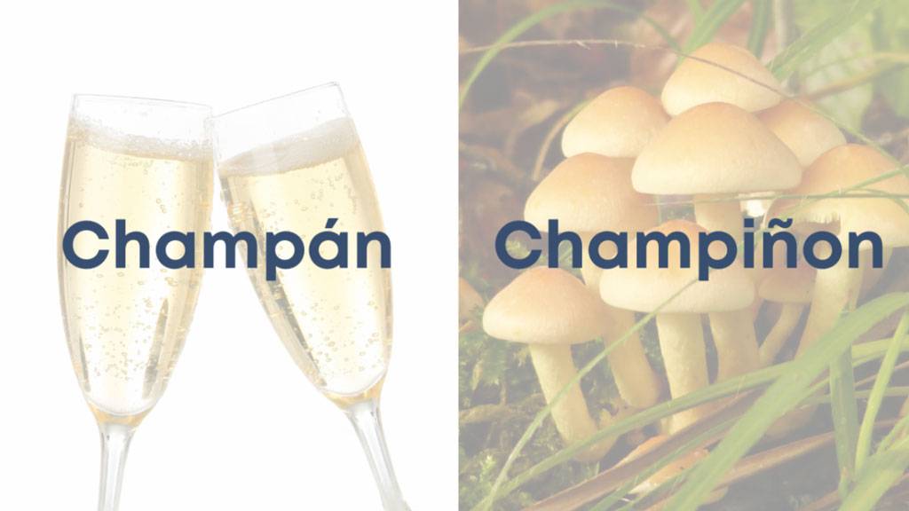 Champan-Y-Champinon Champán Y Champiñon