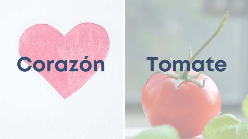 Corazon-y-tomate Corazón y tomate