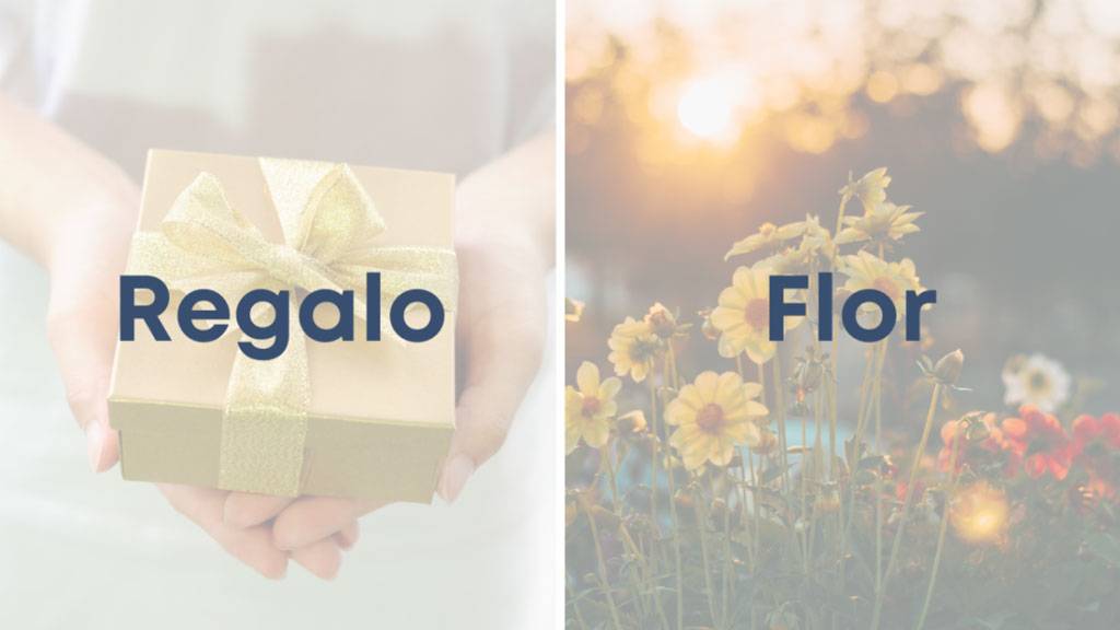 Regalo-y-flor Regalo y flor