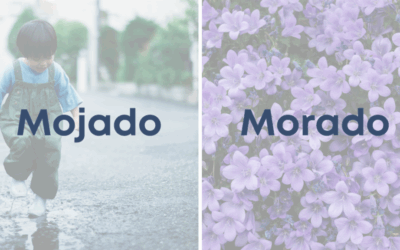 Weekly Word Challenge – Mojado y Morado