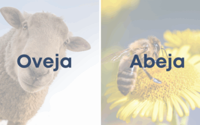 Weekly Word Challenge – Oveja y Abeja