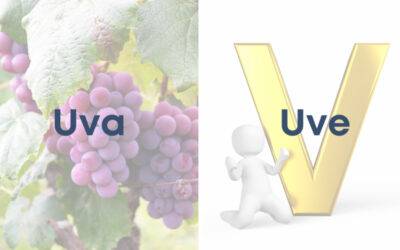 Weekly Word Challenge – Uva y Uve