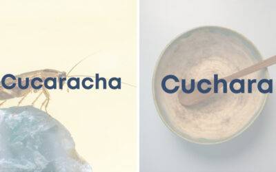 Weekly Word Challenge – cucaracha-y-cuchara