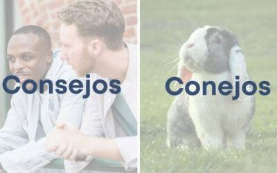 Weekly Word Challenge – Consejos y Conejos